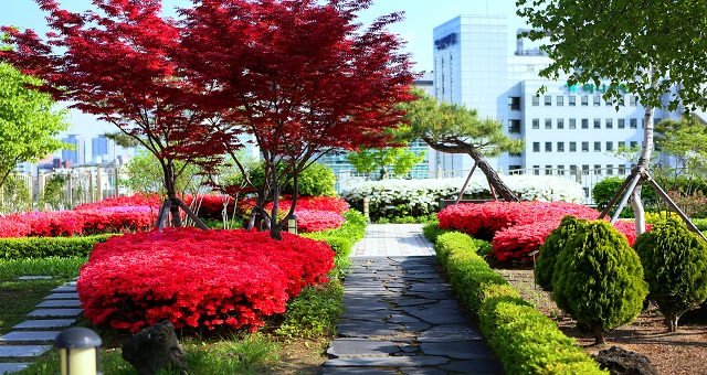 Rooftop Garden photo 1