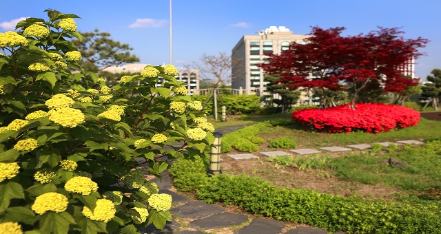 Rooftop Garden photo 2