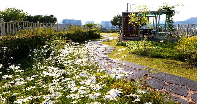 Rooftop Garden photo 5